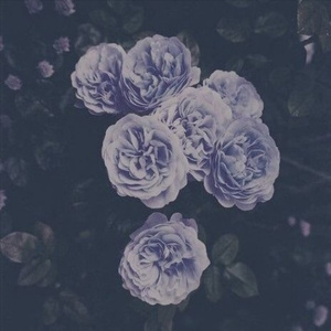 成人性淫荡做爱视频
